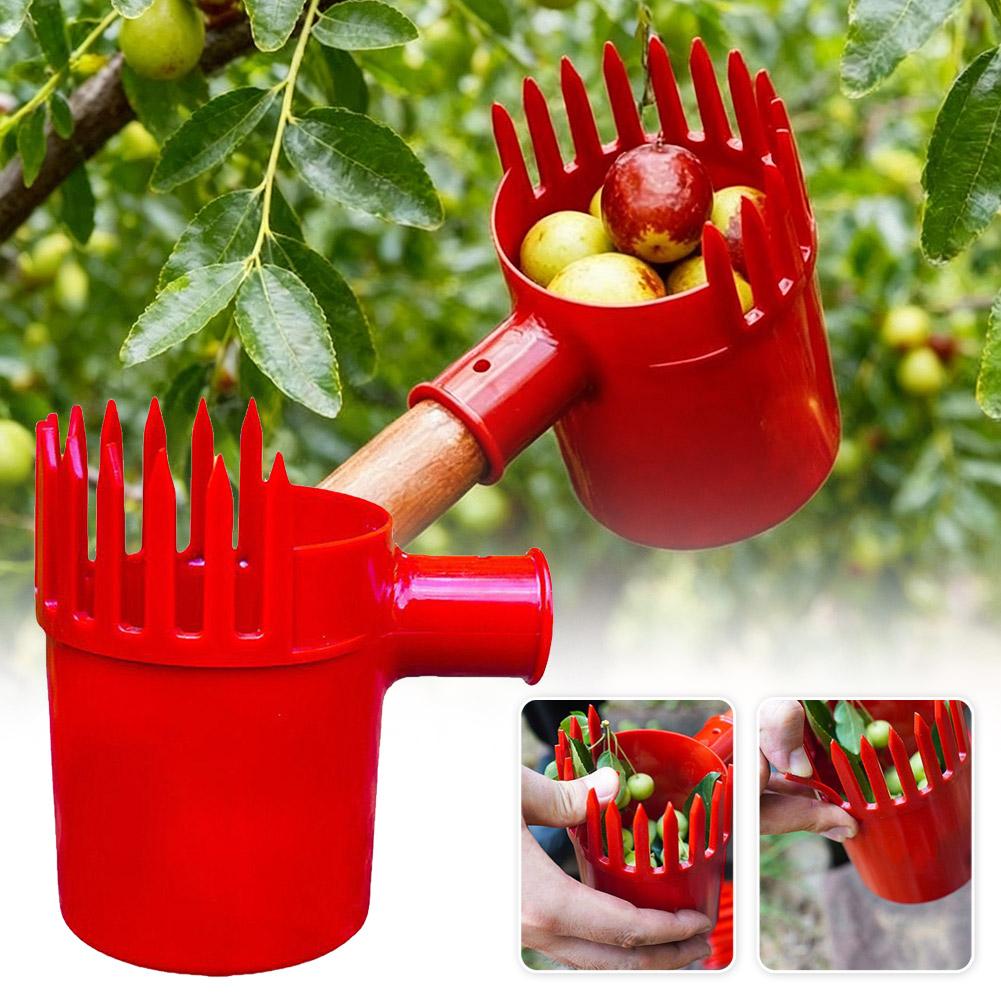 Agriculture Tomato Farming - أداة حصاد محمولة صغيرة لقطف الفواكه،