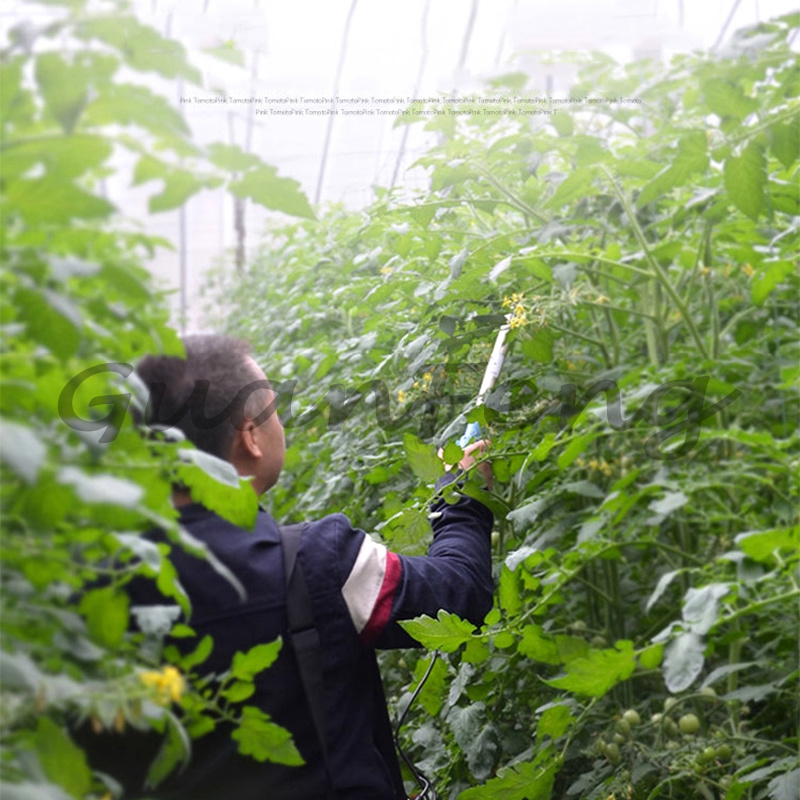 آلة تلقيح كهربائية محمولة 220  - مراجعة Agriculture Tomato Farming وسعره