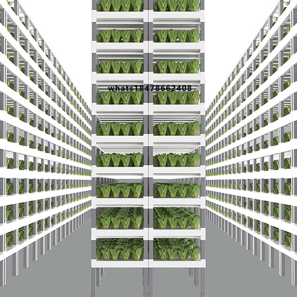 نظام الزراعة المائية الذكي الذ - مراجعة Farming & Agriculture Word Stacks وسعره
