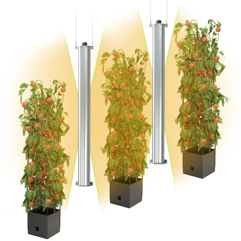 أفضل إضاءة نمو عمودية مزدوجة ا - مراجعة Agriculture Tomato Farming وسعره