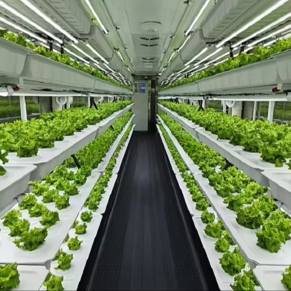 نظام زراعة الخضروات الذكي الأو - مراجعة Farming & Agriculture Word Stacks وسعره