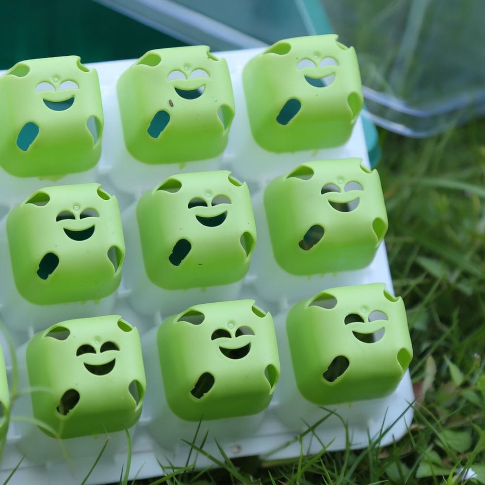 وعاء سيليكون لبدء الزراعة، صين - مراجعة Nursery Plug Tray وسعره