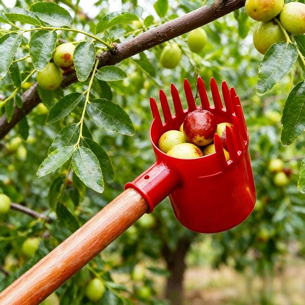 أداة حصاد محمولة صغيرة لقطف ال - مراجعة Agriculture Tomato Farming وسعره
