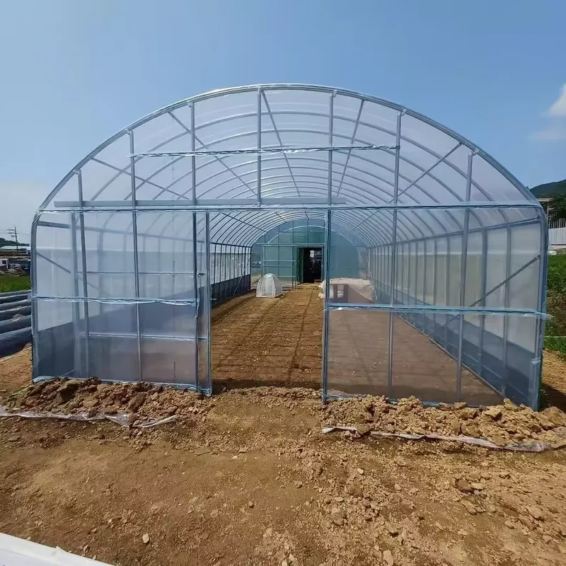 بيوت زراعية ذات جسر واحد ونفق  - مراجعة Agriculture Tomato Farming وسعره