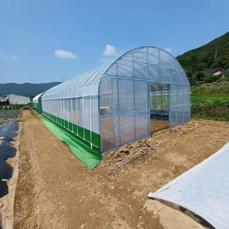 بيوت زراعية ذات جسر واحد ونفق  - مراجعة Agriculture Tomato Farming وسعره