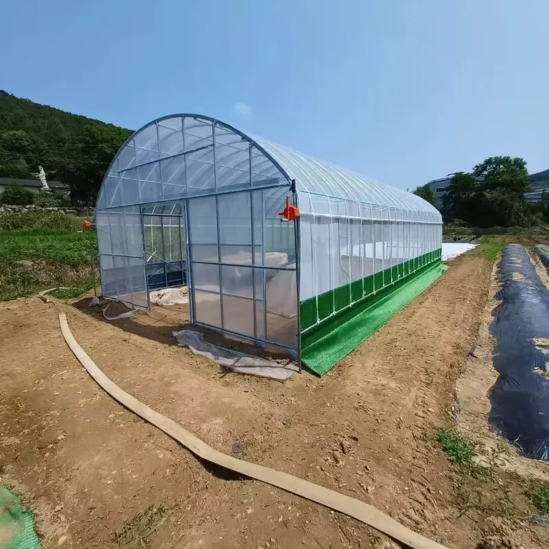 بيوت زراعية ذات جسر واحد ونفق  - مراجعة Agriculture Tomato Farming وسعره